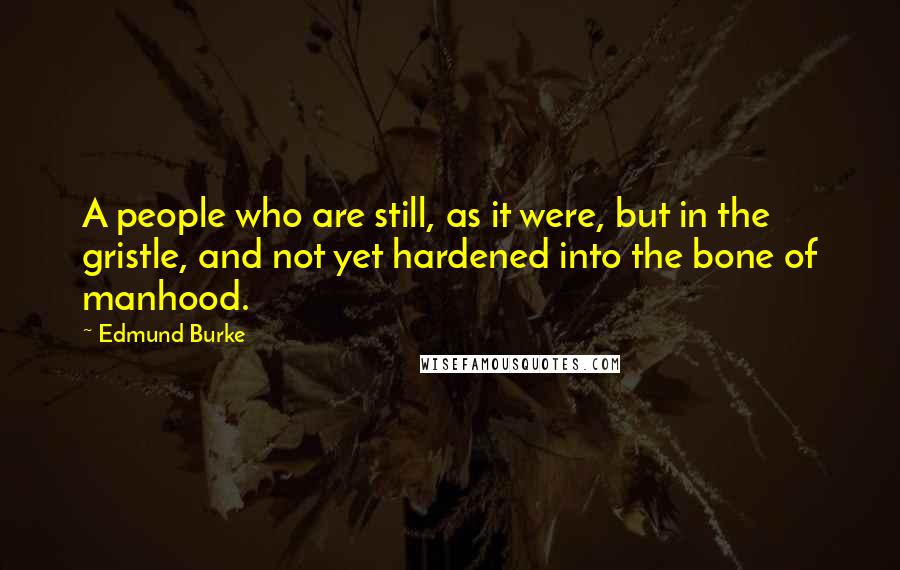 Edmund Burke Quotes: A people who are still, as it were, but in the gristle, and not yet hardened into the bone of manhood.