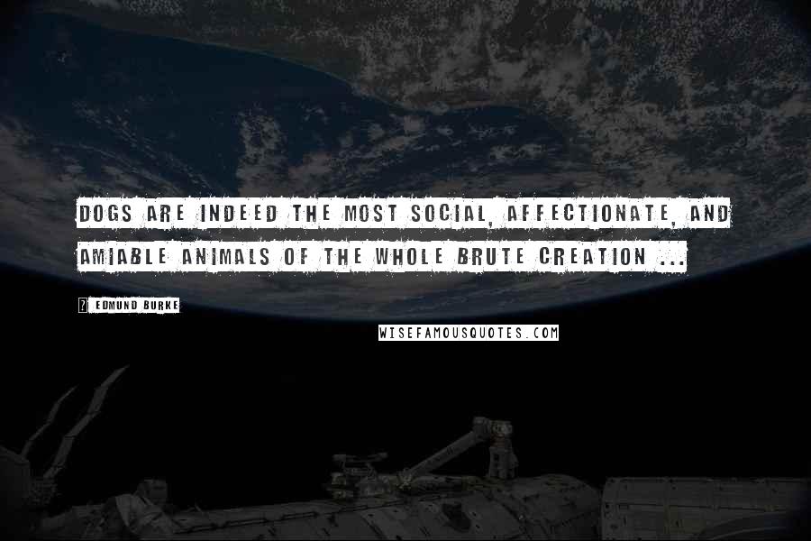 Edmund Burke Quotes: Dogs are indeed the most social, affectionate, and amiable animals of the whole brute creation ...