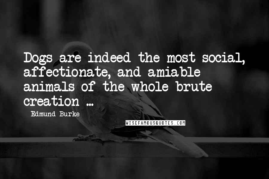 Edmund Burke Quotes: Dogs are indeed the most social, affectionate, and amiable animals of the whole brute creation ...