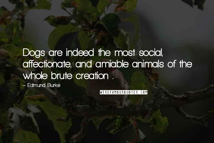 Edmund Burke Quotes: Dogs are indeed the most social, affectionate, and amiable animals of the whole brute creation ...