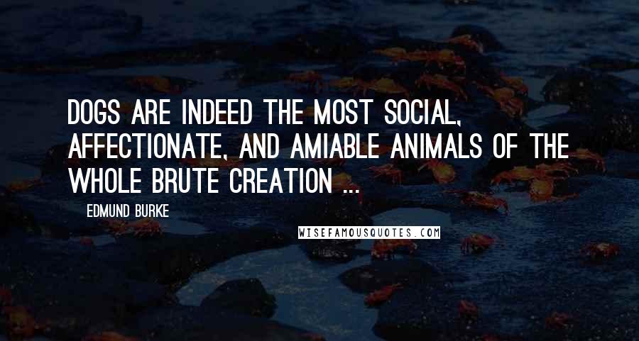 Edmund Burke Quotes: Dogs are indeed the most social, affectionate, and amiable animals of the whole brute creation ...