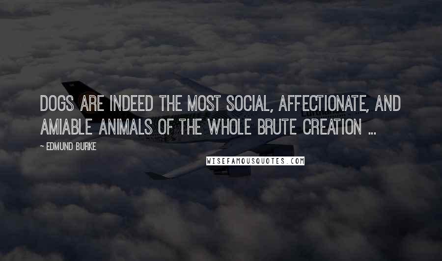 Edmund Burke Quotes: Dogs are indeed the most social, affectionate, and amiable animals of the whole brute creation ...