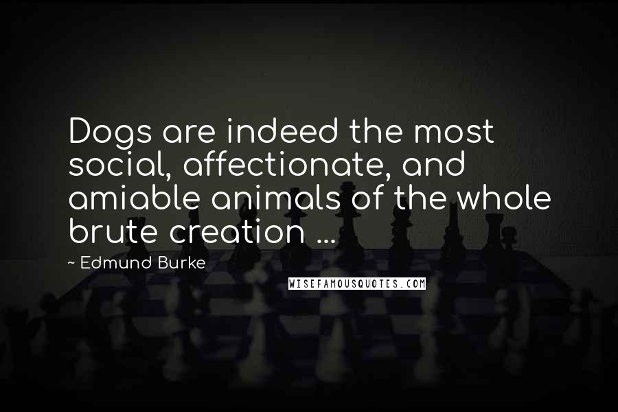 Edmund Burke Quotes: Dogs are indeed the most social, affectionate, and amiable animals of the whole brute creation ...