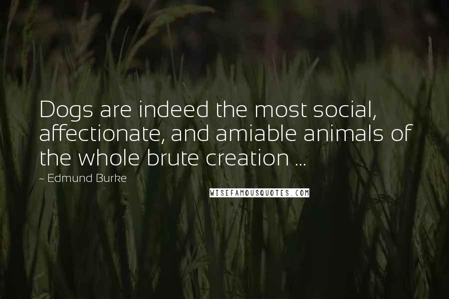 Edmund Burke Quotes: Dogs are indeed the most social, affectionate, and amiable animals of the whole brute creation ...