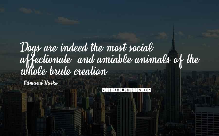 Edmund Burke Quotes: Dogs are indeed the most social, affectionate, and amiable animals of the whole brute creation ...