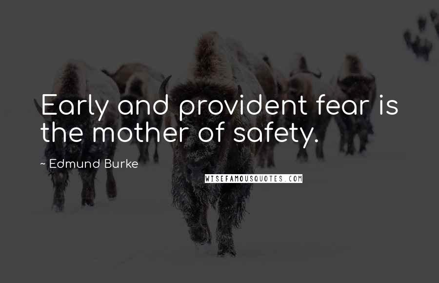 Edmund Burke Quotes: Early and provident fear is the mother of safety.