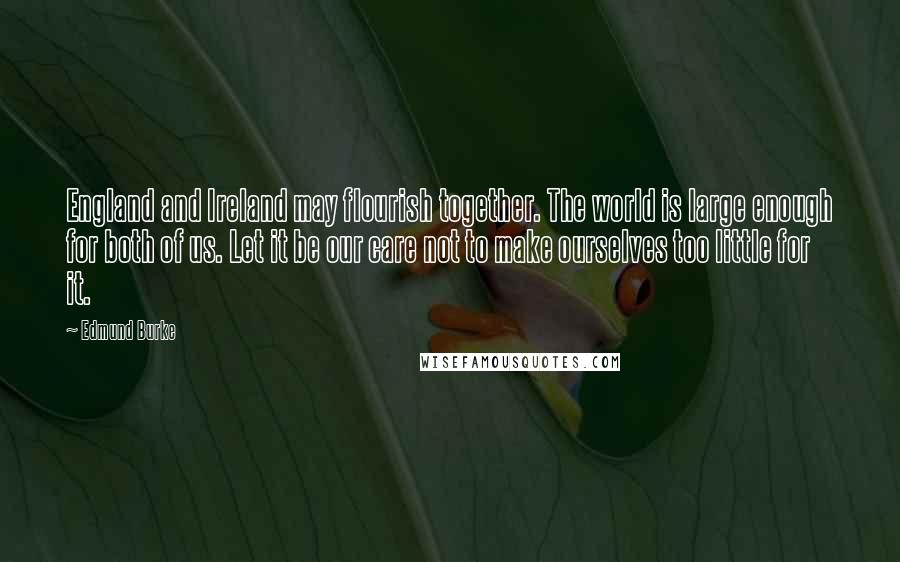 Edmund Burke Quotes: England and Ireland may flourish together. The world is large enough for both of us. Let it be our care not to make ourselves too little for it.