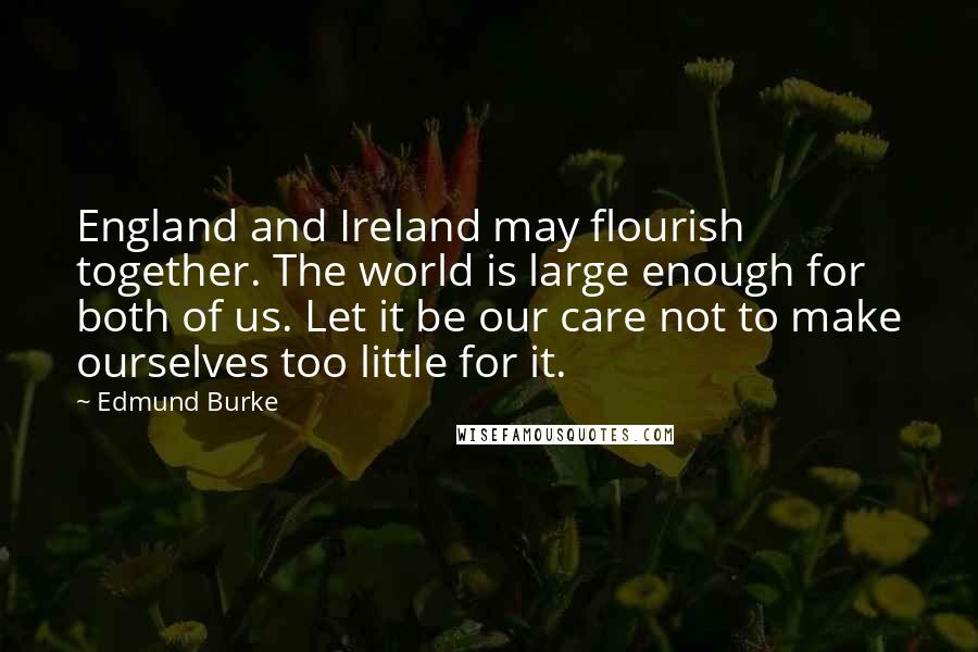 Edmund Burke Quotes: England and Ireland may flourish together. The world is large enough for both of us. Let it be our care not to make ourselves too little for it.