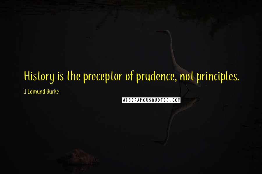 Edmund Burke Quotes: History is the preceptor of prudence, not principles.