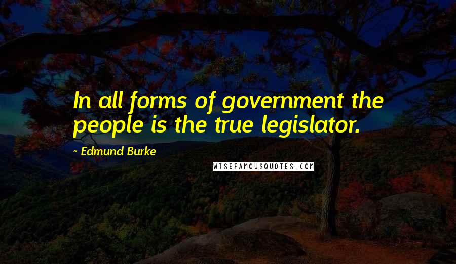 Edmund Burke Quotes: In all forms of government the people is the true legislator.