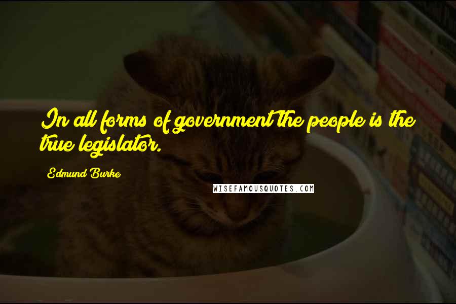 Edmund Burke Quotes: In all forms of government the people is the true legislator.