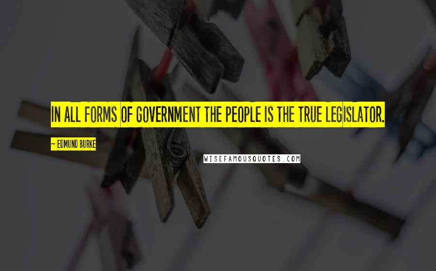 Edmund Burke Quotes: In all forms of government the people is the true legislator.