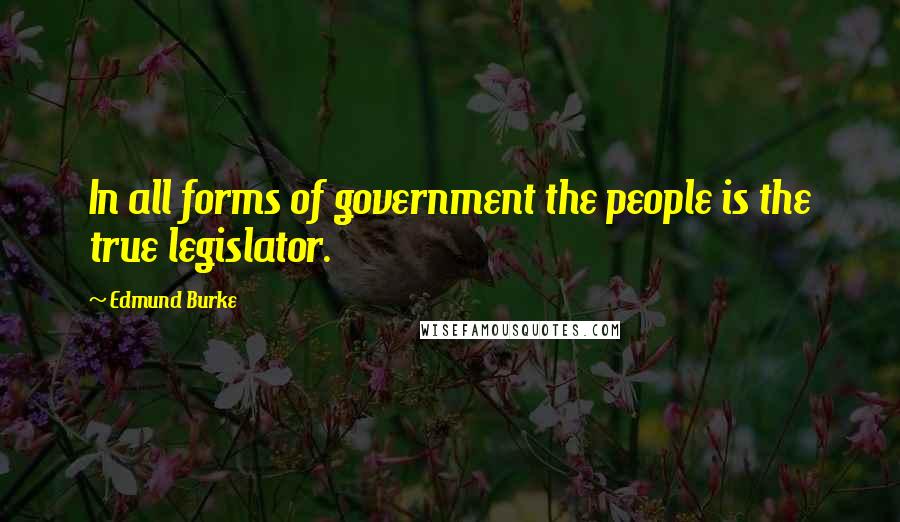 Edmund Burke Quotes: In all forms of government the people is the true legislator.