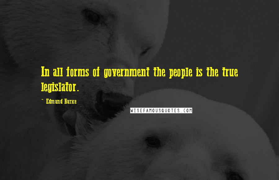 Edmund Burke Quotes: In all forms of government the people is the true legislator.