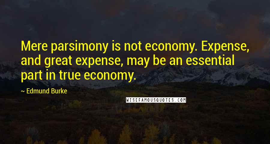Edmund Burke Quotes: Mere parsimony is not economy. Expense, and great expense, may be an essential part in true economy.