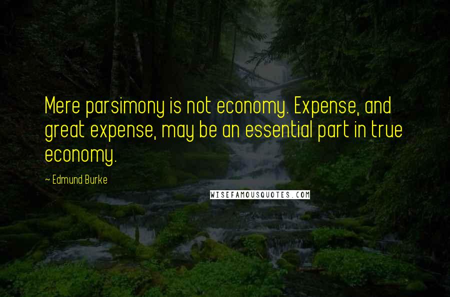 Edmund Burke Quotes: Mere parsimony is not economy. Expense, and great expense, may be an essential part in true economy.