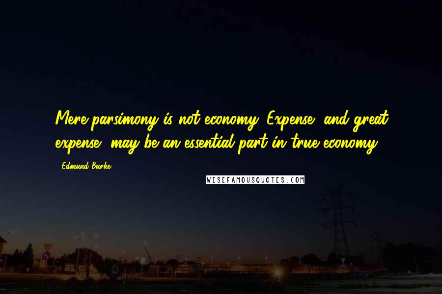 Edmund Burke Quotes: Mere parsimony is not economy. Expense, and great expense, may be an essential part in true economy.