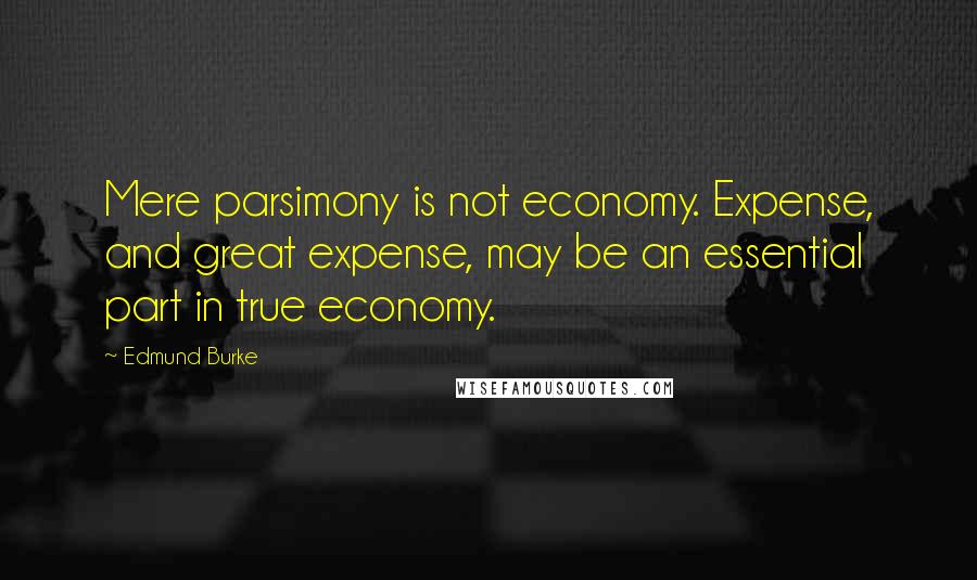 Edmund Burke Quotes: Mere parsimony is not economy. Expense, and great expense, may be an essential part in true economy.