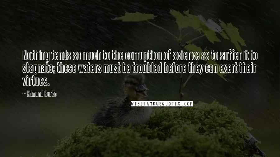 Edmund Burke Quotes: Nothing tends so much to the corruption of science as to suffer it to stagnate; these waters must be troubled before they can exert their virtues.