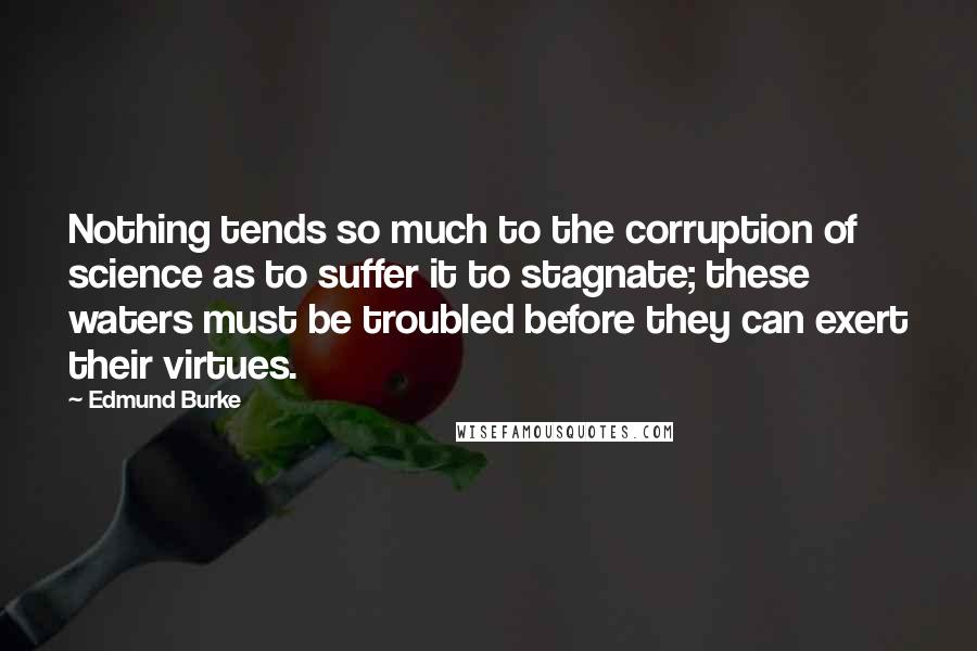 Edmund Burke Quotes: Nothing tends so much to the corruption of science as to suffer it to stagnate; these waters must be troubled before they can exert their virtues.