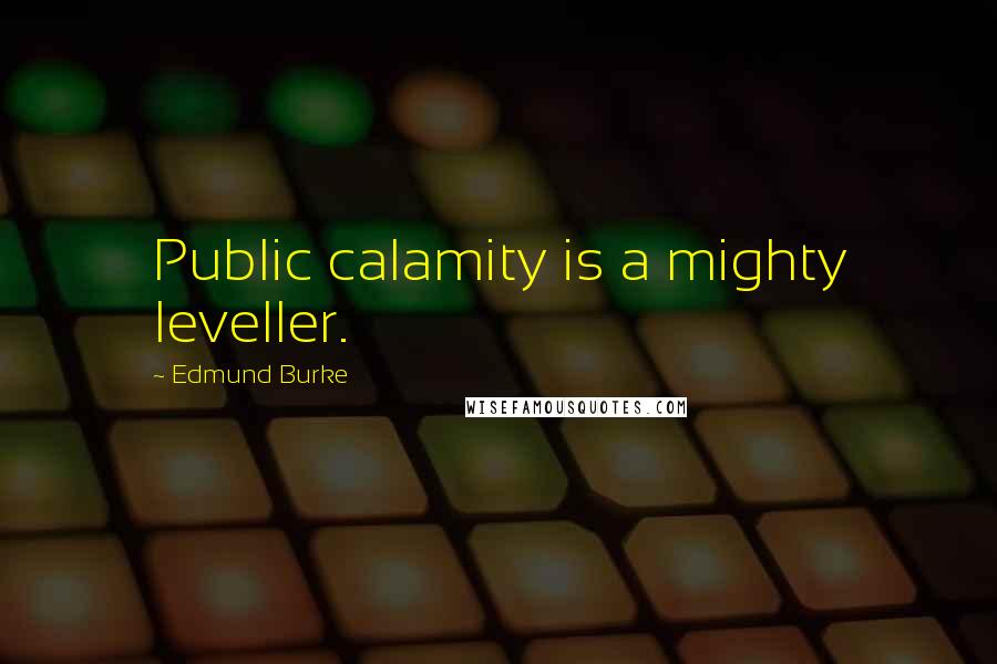 Edmund Burke Quotes: Public calamity is a mighty leveller.