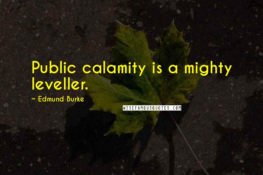 Edmund Burke Quotes: Public calamity is a mighty leveller.