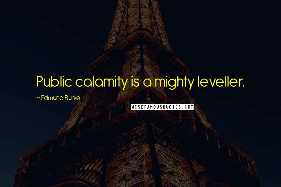 Edmund Burke Quotes: Public calamity is a mighty leveller.