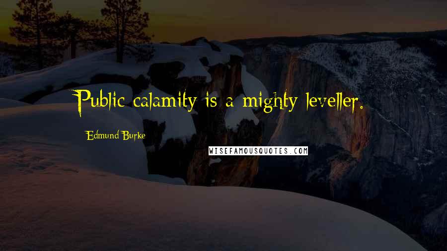 Edmund Burke Quotes: Public calamity is a mighty leveller.