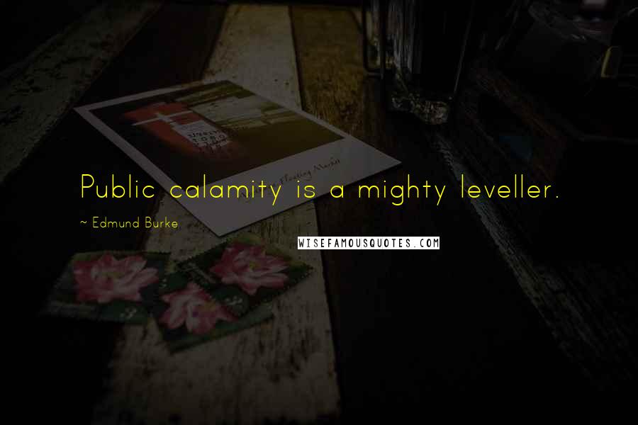 Edmund Burke Quotes: Public calamity is a mighty leveller.