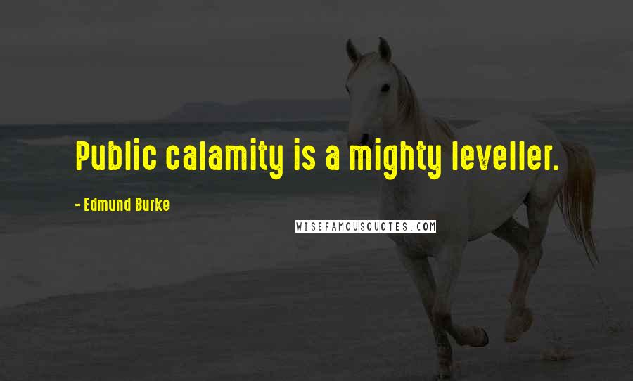Edmund Burke Quotes: Public calamity is a mighty leveller.