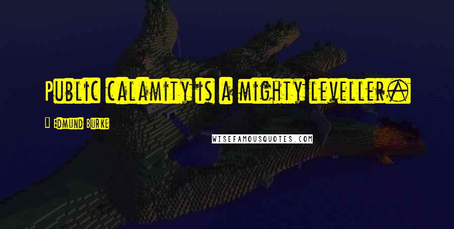 Edmund Burke Quotes: Public calamity is a mighty leveller.
