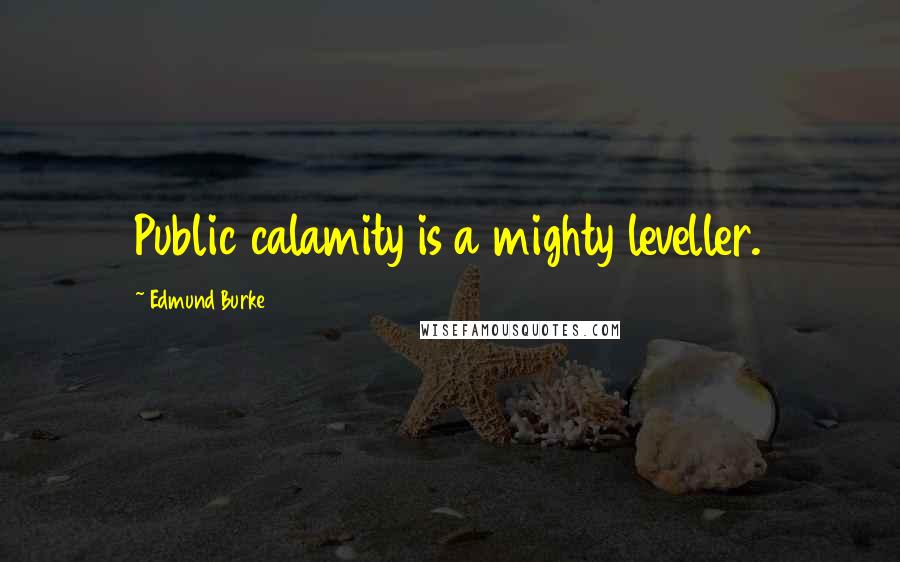 Edmund Burke Quotes: Public calamity is a mighty leveller.