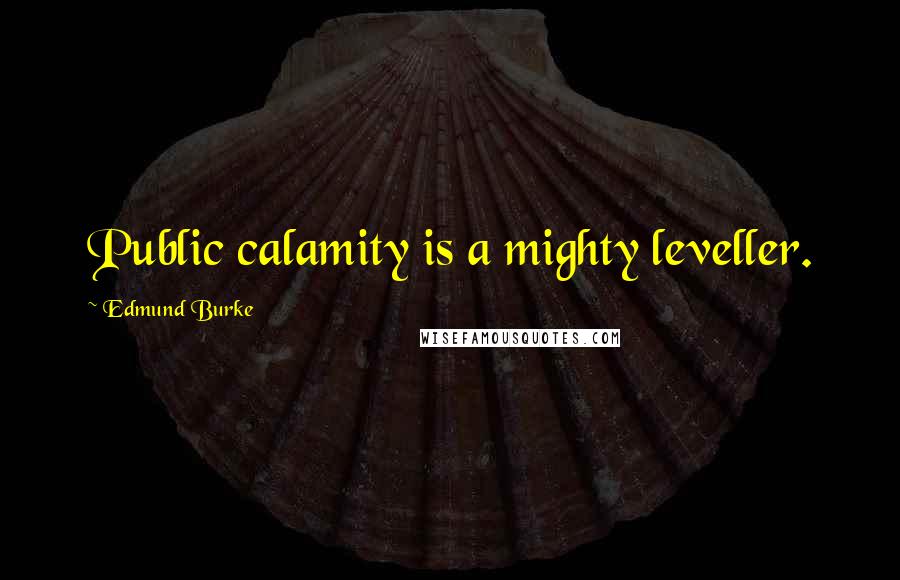 Edmund Burke Quotes: Public calamity is a mighty leveller.