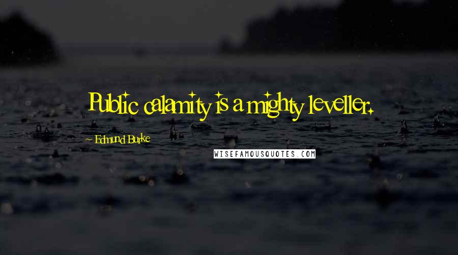 Edmund Burke Quotes: Public calamity is a mighty leveller.