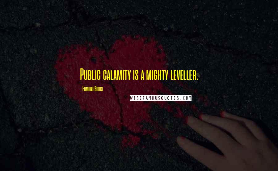 Edmund Burke Quotes: Public calamity is a mighty leveller.