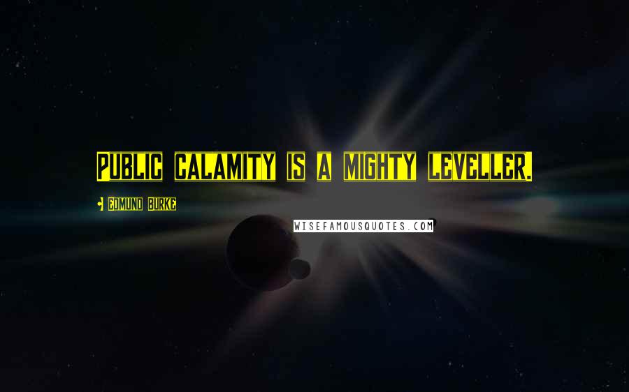 Edmund Burke Quotes: Public calamity is a mighty leveller.