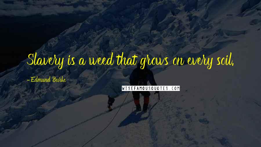 Edmund Burke Quotes: Slavery is a weed that grows on every soil.