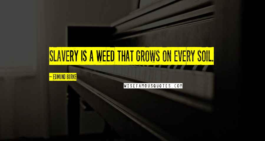 Edmund Burke Quotes: Slavery is a weed that grows on every soil.