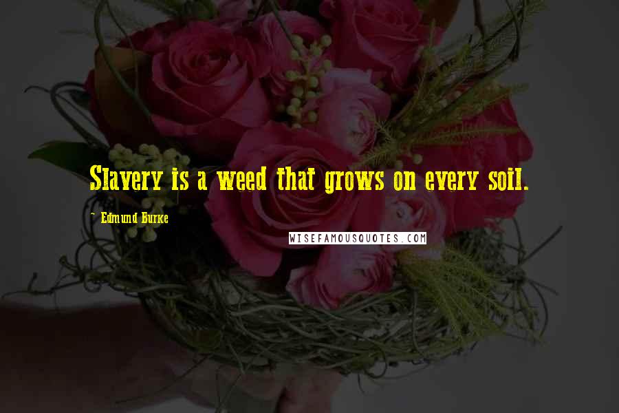Edmund Burke Quotes: Slavery is a weed that grows on every soil.