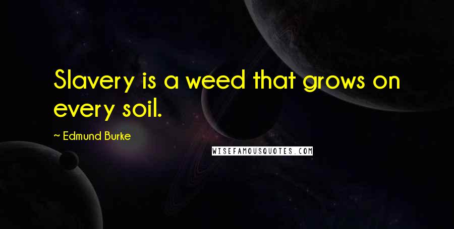 Edmund Burke Quotes: Slavery is a weed that grows on every soil.