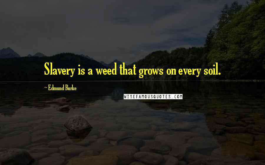 Edmund Burke Quotes: Slavery is a weed that grows on every soil.