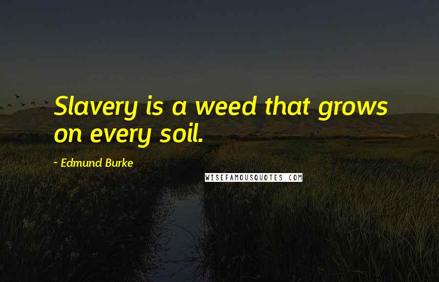 Edmund Burke Quotes: Slavery is a weed that grows on every soil.