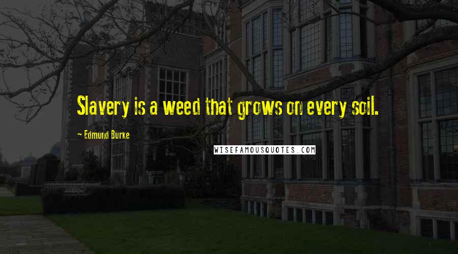 Edmund Burke Quotes: Slavery is a weed that grows on every soil.