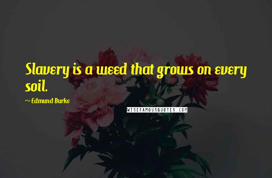 Edmund Burke Quotes: Slavery is a weed that grows on every soil.