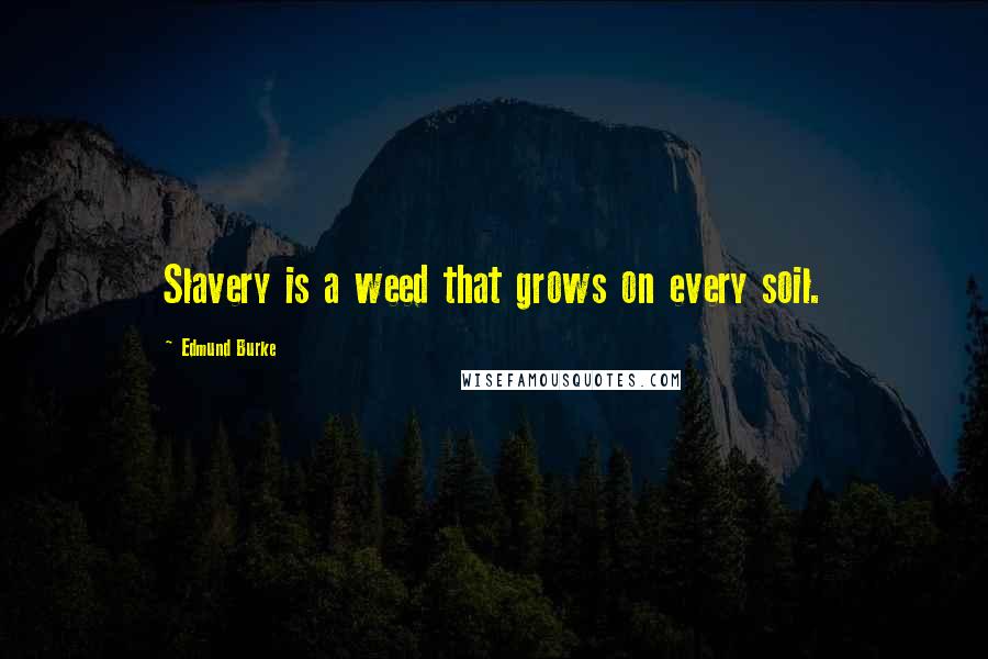 Edmund Burke Quotes: Slavery is a weed that grows on every soil.