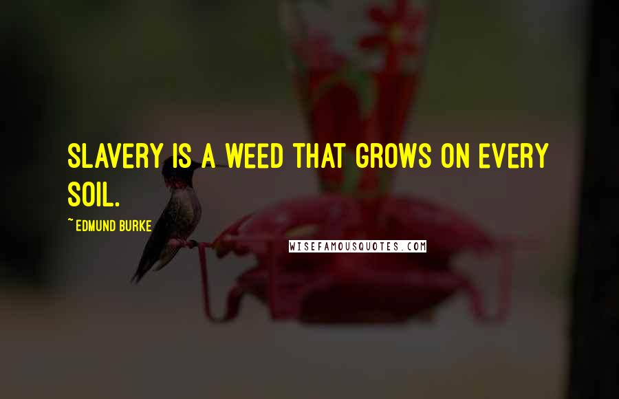 Edmund Burke Quotes: Slavery is a weed that grows on every soil.