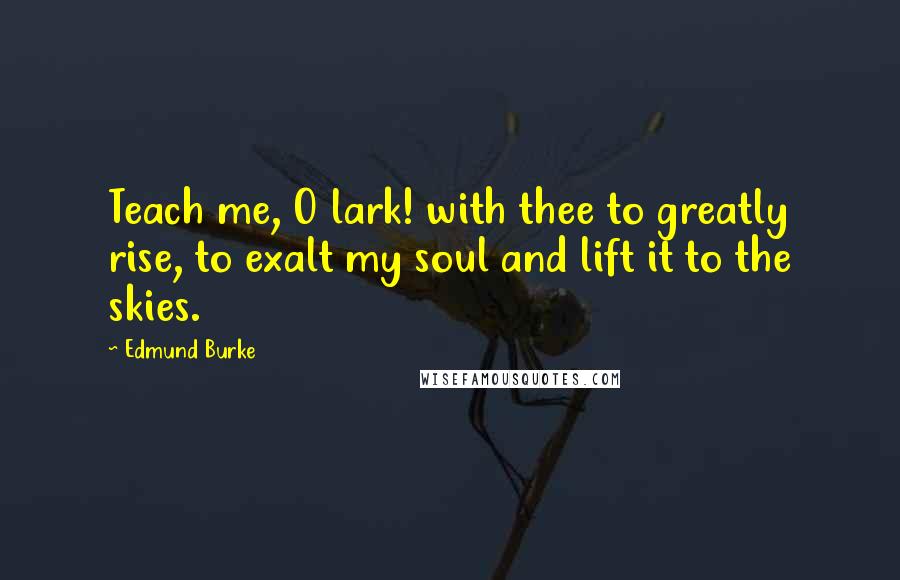 Edmund Burke Quotes: Teach me, O lark! with thee to greatly rise, to exalt my soul and lift it to the skies.