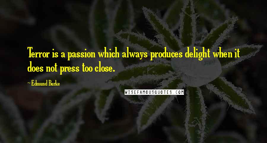 Edmund Burke Quotes: Terror is a passion which always produces delight when it does not press too close.