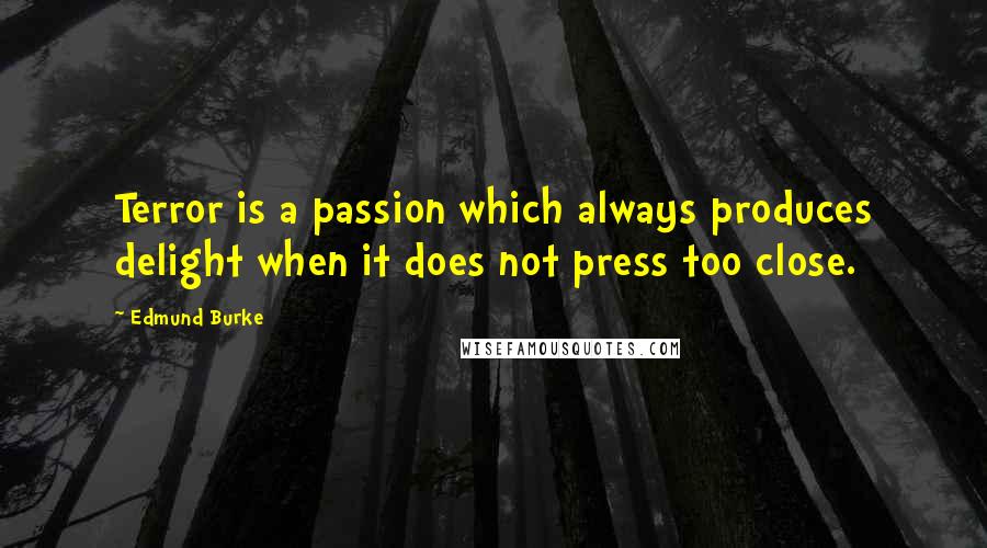 Edmund Burke Quotes: Terror is a passion which always produces delight when it does not press too close.