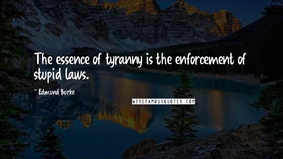 Edmund Burke Quotes: The essence of tyranny is the enforcement of stupid laws.